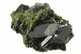 Lustrous, Dark Green, Epidote Crystal Cluster - Pakistan #91942-1